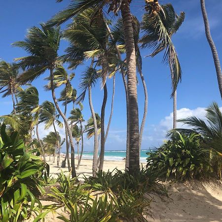 Art Villa Dominicana Пунта-Кана Екстер'єр фото