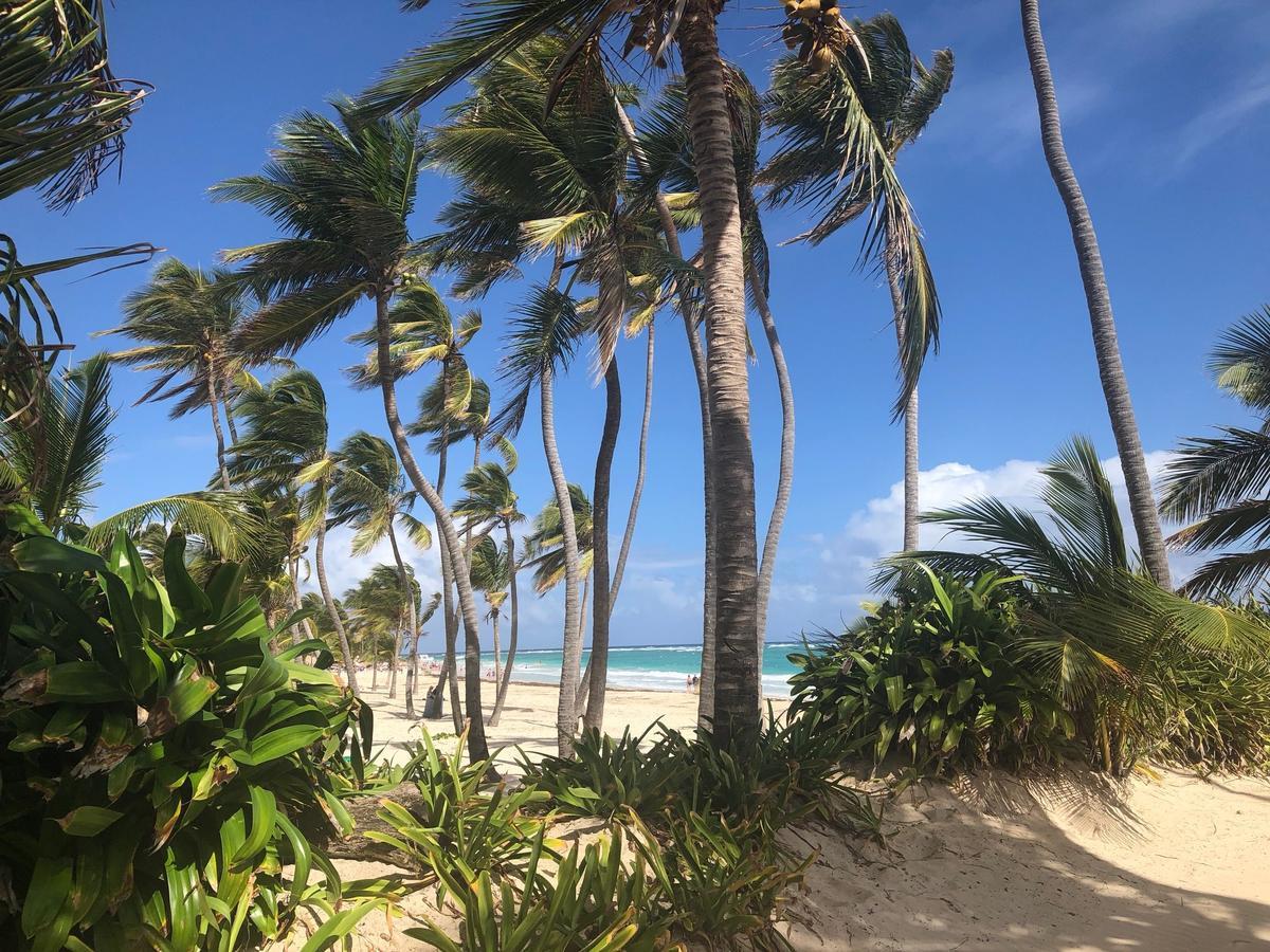 Art Villa Dominicana Пунта-Кана Екстер'єр фото